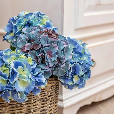 B&B da Chiara-3