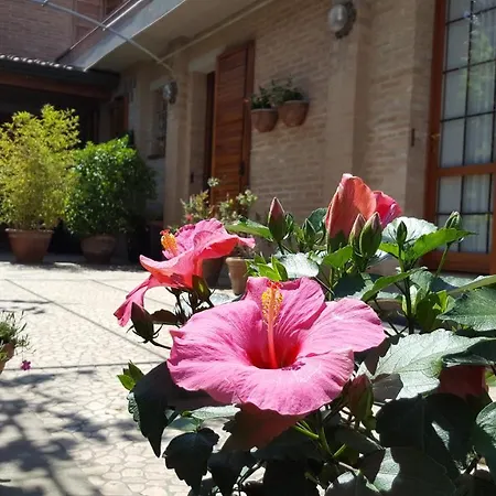 B&B Ensileva Beach-3
