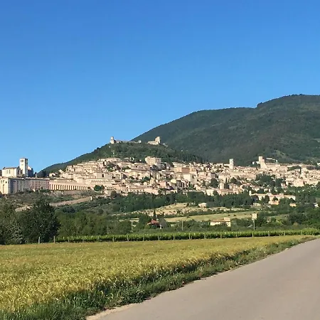 B&B Raffiori-3