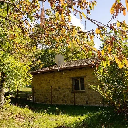 La ghiandaia-3