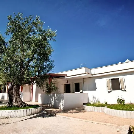 Felicity Vieste-2
