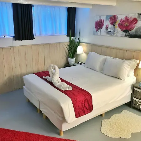 Amsterdam Home-2