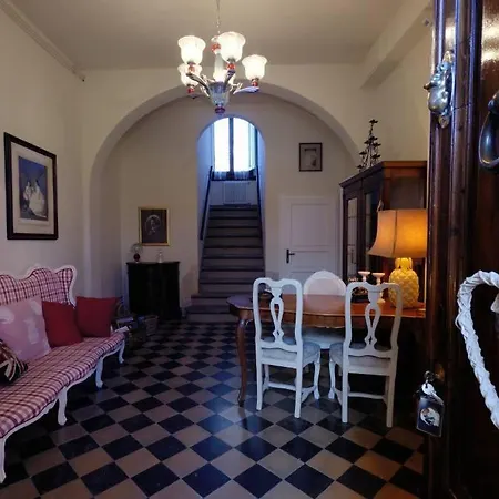 B&B Cimamori-3