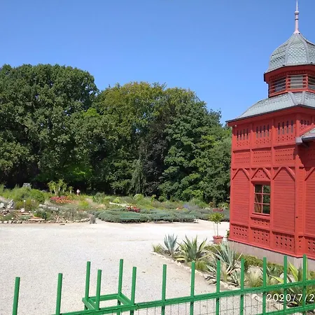 Botanical Garden-2