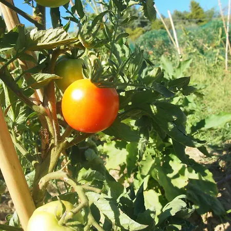 Agriturismo Ardizio 43-3