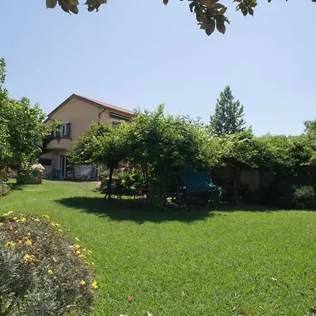 B&B La casa dei gelsi-2