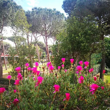 Casa Margherita Affittacamere B&B-2