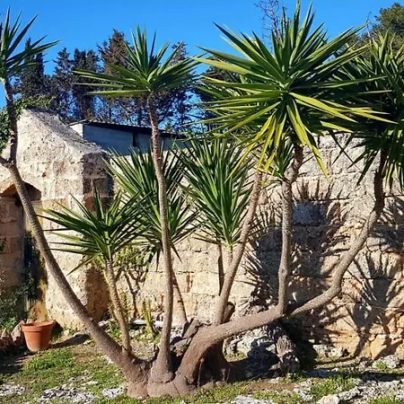Masseria Artemisia-3