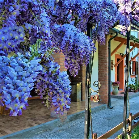 B&B La Mia Oasi-2
