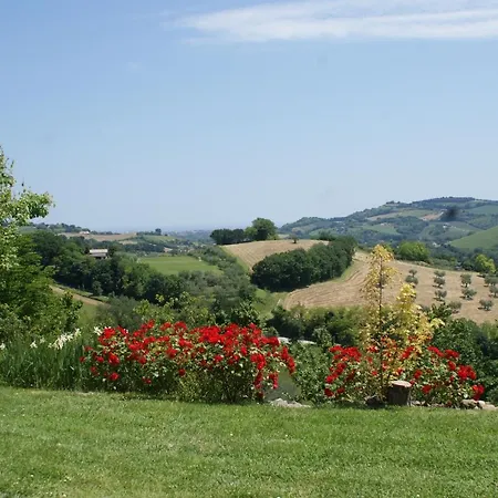 B&B Salvarosa-2