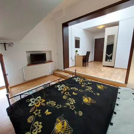 Happy Accomodation-2