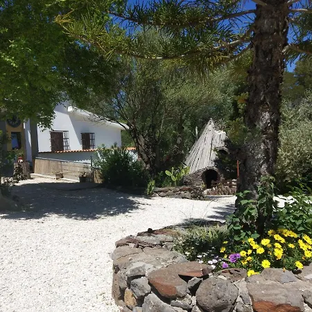 B&B Littu-2
