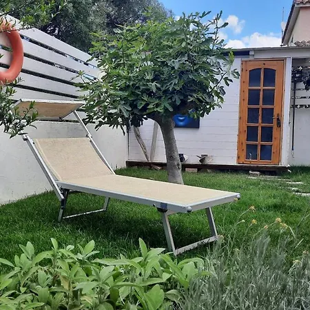 Flamingo Guest House- Rooms-2