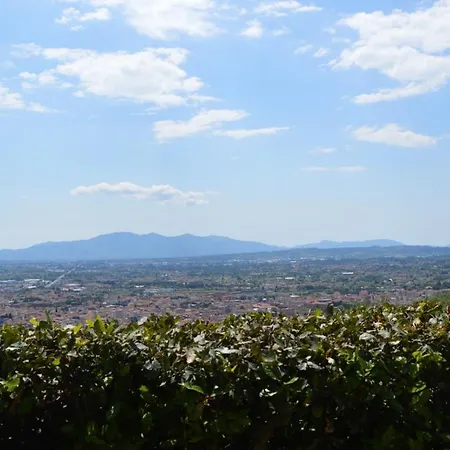 Il Podere di Tacito-2