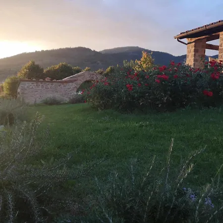 Alba Morus Bed&Breakfast sentiti a casa nel cuo-3