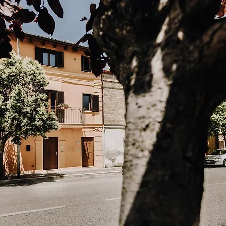 B&B La Cicala-3