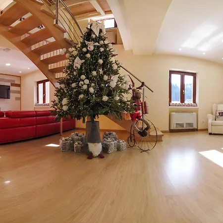 Abete Bianco - Albergo del Natale-2