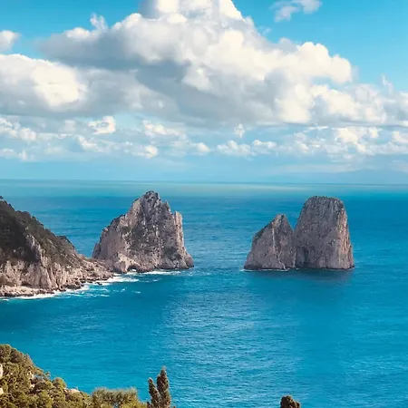 Villa Olga Luxury Capri-2