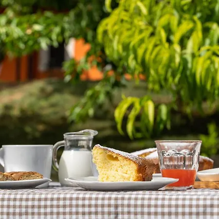 B&B La Gradina-3