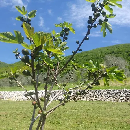 Poggio del Sole-3