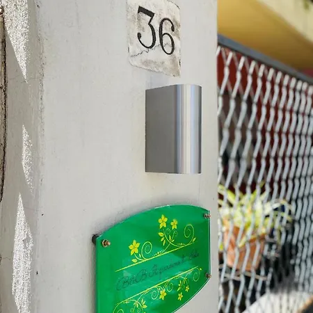 Il giardino di Iole-2