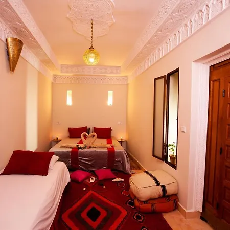 Riad Taziri-2