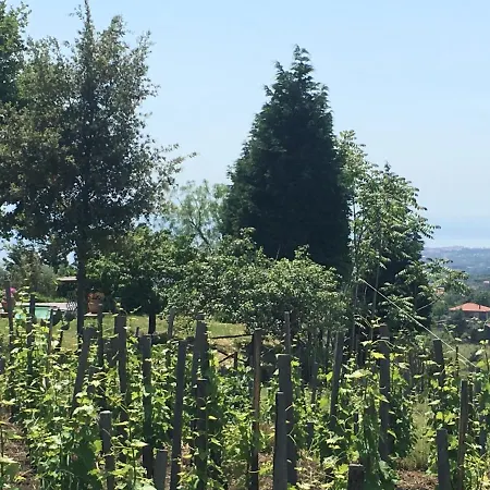 Alberto Mt Etna B&B&Holiday rentals-2