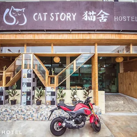 Cat Story Hotel-2