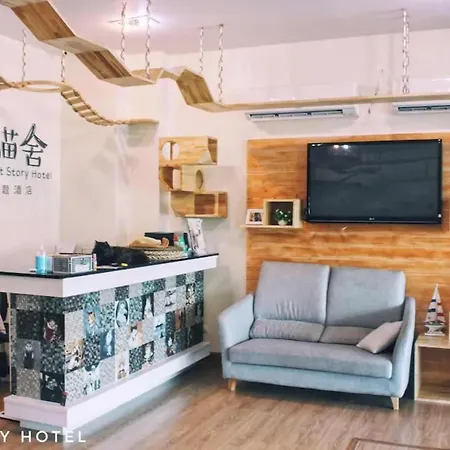 Cat Story Hotel-3