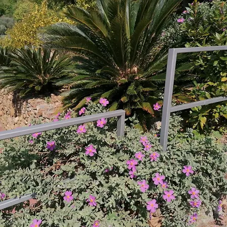 Oroverde-2