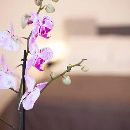 Casapaola B&B Rooms-3