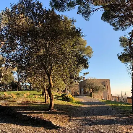 Torre Mendari-2