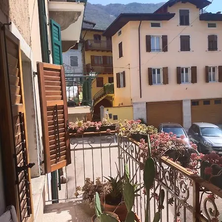 La tana dell'artista-3