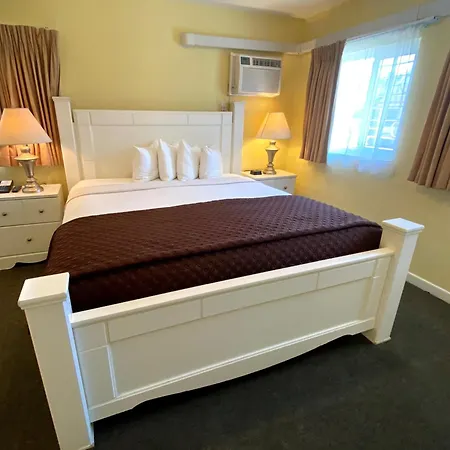 Hollywood Celebrity Hotel-3