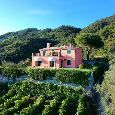 La Vignana - 5 Terre-2
