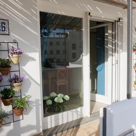 La Pigna Blu-3