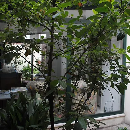 Il Bagattino-2