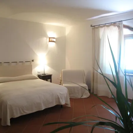 Il Vecchio Ginepro-3
