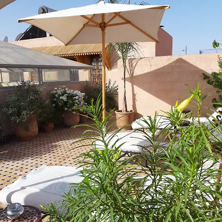 Riad Miral-3