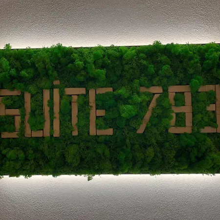 Suite 783 Bed And Breakfast-2