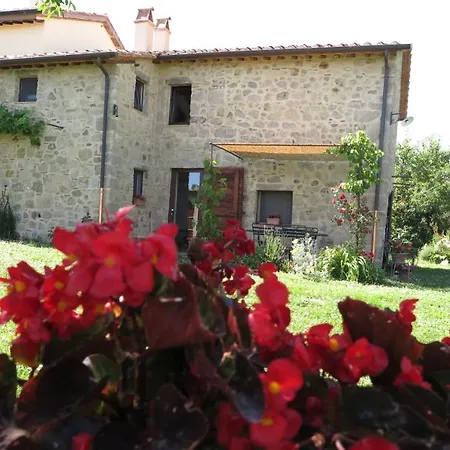 Castagna Dulcis-3