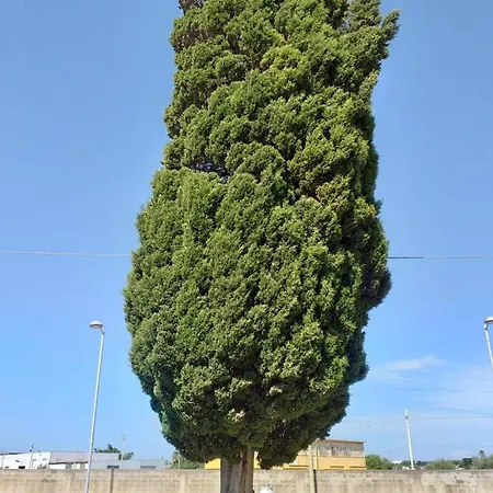 L'Albero bello Holiday-3