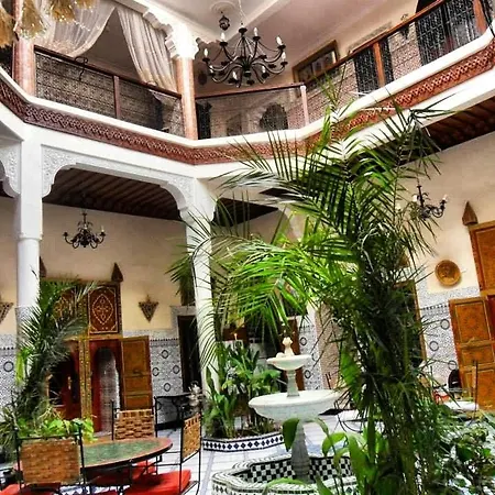 Riad Chennaoui-2