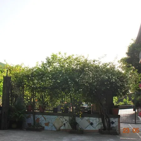 Vico Equense B&B 40 Steps-2