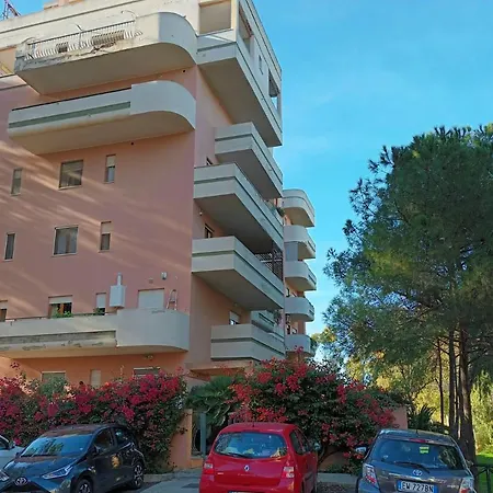 Dietro Molentargius-2