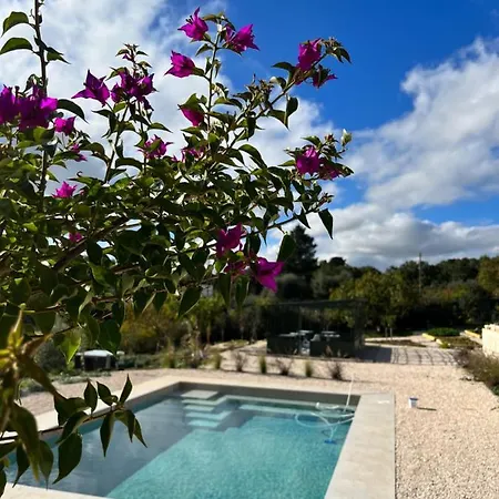 Villa Ada-Trulli&Luxury Accomodation-2