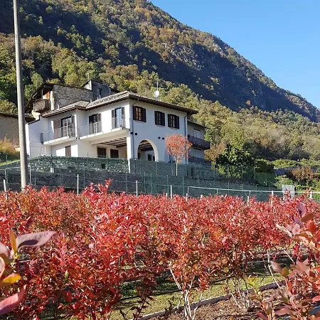 Guest House Le Cassandre-3