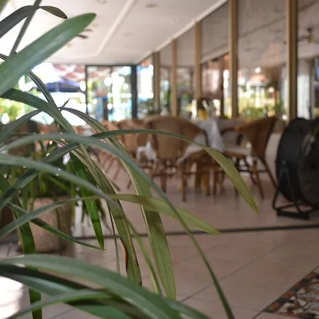 Hotel Alfredo'S-2