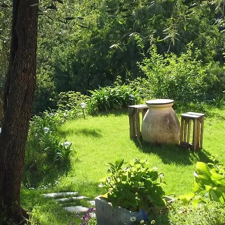 Amandolevanto B&B-2