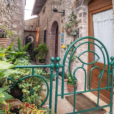 La Viola di Assisi-3